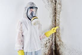 Best Environmental Consulting for Mold Prevention  in Rosenhayn, NJ